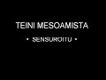 Vitun teinit