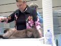 Pamela Best Kitten with Jan Rogers .AVI