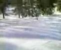 Skiing Fall