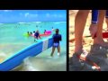 yellowcapmikegohawaii.mov