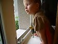 linnud s��vad muru