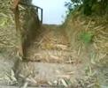 ranchotur