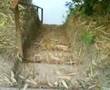 ranchotur