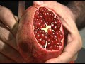 Pomegranate Pomegranate: best opening technique