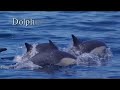 Power Boat cruising in La Paz, Baja Mexico with the Moorings