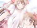 きしめん動画18