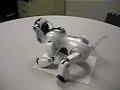 Aibo Desktop Manipulation - Aibo OCR (3rd person)