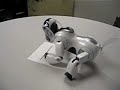 Aibo Desktop Manipulation - Aibo OCR (3rd person)