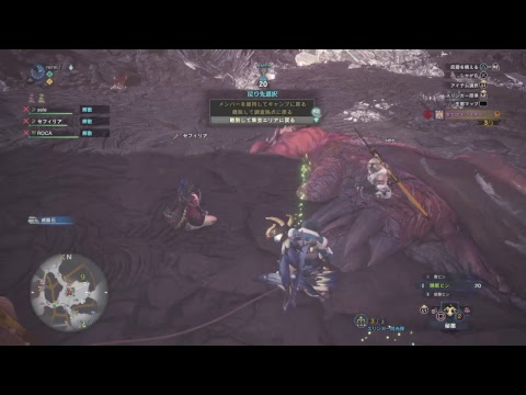 動画