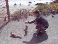 Squirrels Love Fritos!