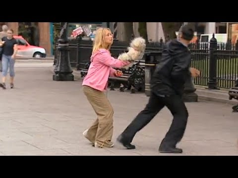 Purse Dog Attack