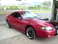 mustang club tepic
