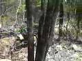 Leadbelt National Enduro
