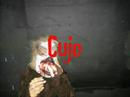 Studio of scares