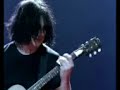 the white stripes