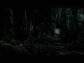 videos de Lost in the jungle