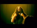 Pohewa - The Dreamer (Soul Paua)