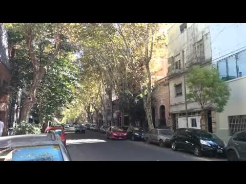arboles arboles