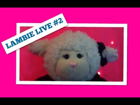 kondoot - Durning Lambie's second Kondoot show, it Adobe system crashed so the first half was not recorded. It's not Lambie's fault though. If you want to see the seco...