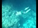 Le grand blue. theoikaris.com