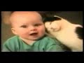 Animali pazzi!!! Animali pazzi!!!