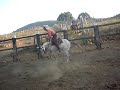 Rodeio Cutiano