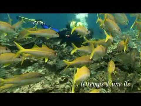 Image de prévisualisation YouTube