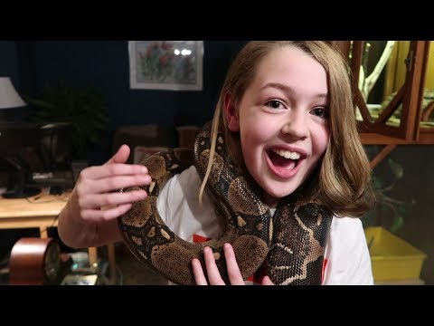YouTube reptile video