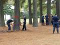 videos de Skills Demo 4