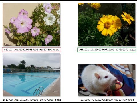how to locate facebook account
