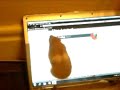 Un hamster a tope con la maquinaria