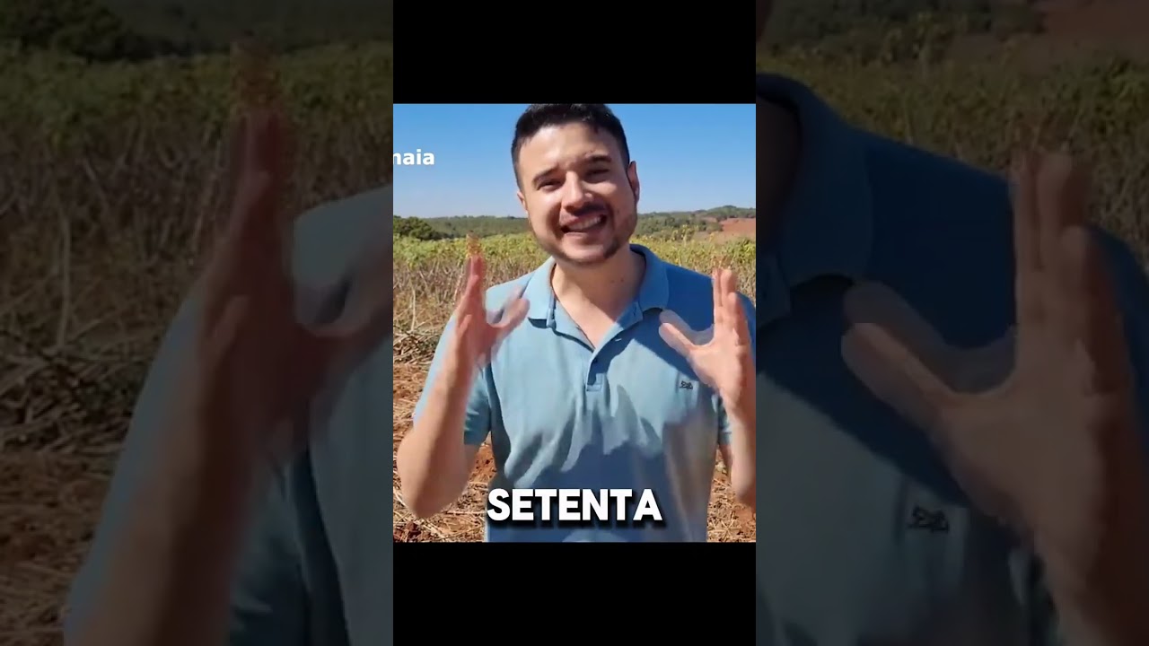 É lucrativo o plantio da mandioca?  #hortalicas #agro #agricultura #mandioca