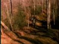 motocross song 2