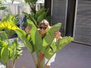 une troisi�me vid�o de mes vacances apr�s les championnats de france de dunkerque. petit instant de d�tente...