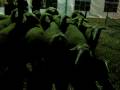 videos de MVI 0112