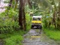 TANDAG SURIGAO DEL SUR- Tabon-tabon, Quezon