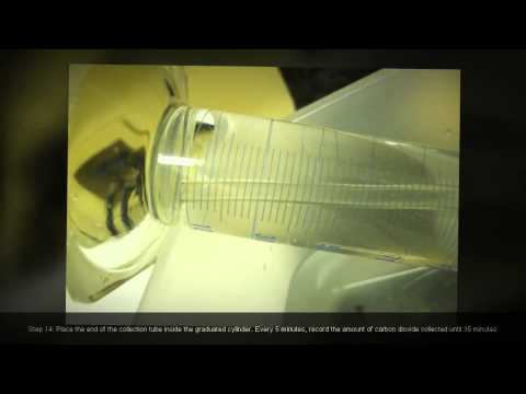 how to collect yeast from air