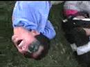jackass43 jackass43