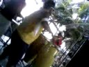Alex Costta na percuss�o