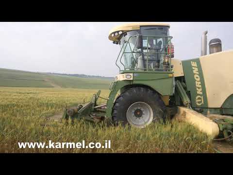 קציר לתחמיץ כוחה של אדמה