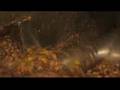 Philippine oil palm cultivation raises food concerns-17Dec07