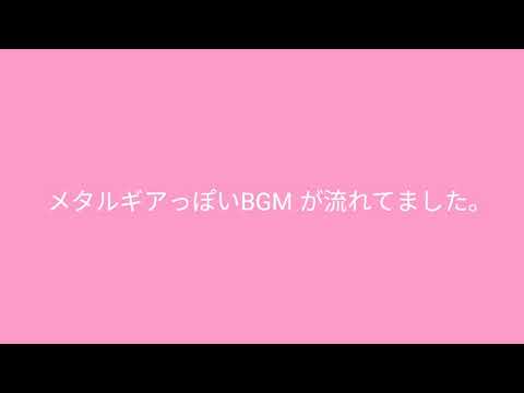 動画