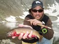Fly Fishing for High Country Cutthroat Trout #1 (Colorado)