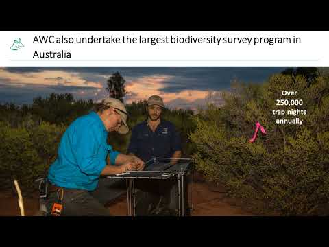 <p>A Summary of the Australian Wildlife Conservancy’s (AWC’s) Science Program at Bowra Wildlife Sanctuary</p>
 video thumbnail