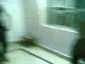 Tench Bhatta.3gp