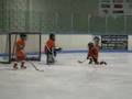 Novice Hockey Goalie Save