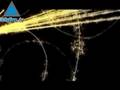 Europe Conducting Particle Accelerator Experiment Which Coul
