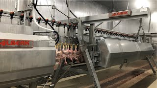 Alberk - Poultry Processing Plant Chicken Processi