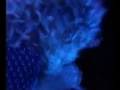 nobodys-fault-but-mine.html