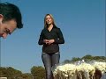 TV MARING�